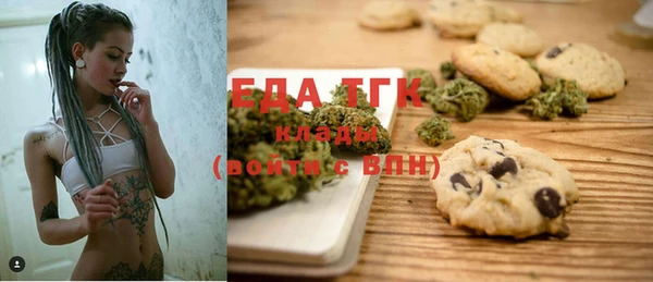 индика Аркадак