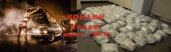 индика Аркадак