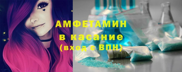 индика Аркадак