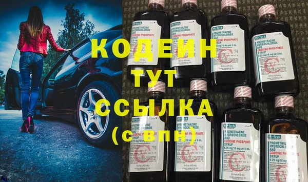 индика Аркадак