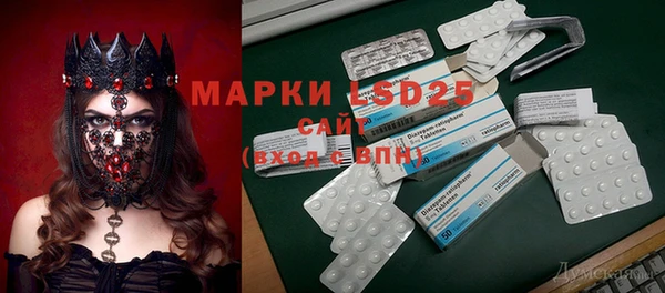 индика Аркадак