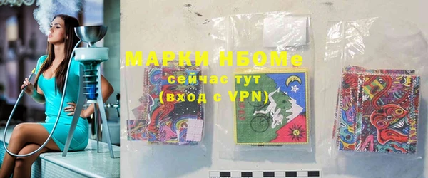 индика Аркадак
