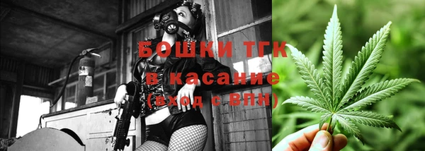 индика Аркадак