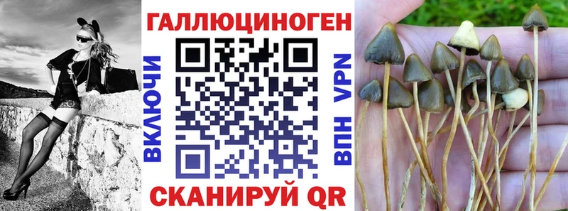 Купить где  Гусь-Хрустальный  Галлюциногенные грибы ЛСД 